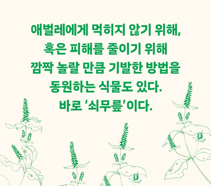 카드뉴스3
