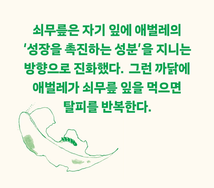 카드뉴스4