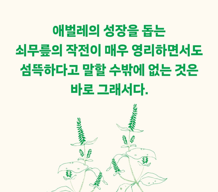 카드뉴스11