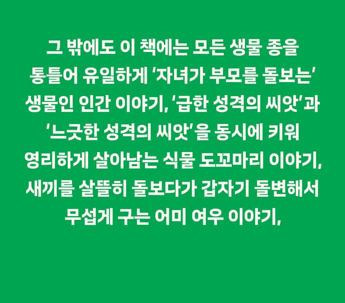 카드뉴스12