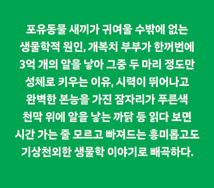카드뉴스13