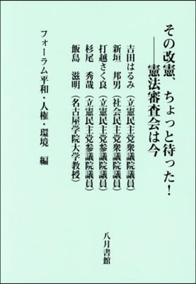 その改憲,ちょっと待った!