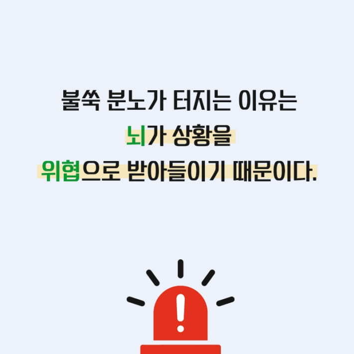 카드뉴스3