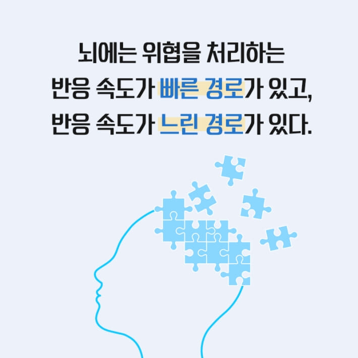 카드뉴스4