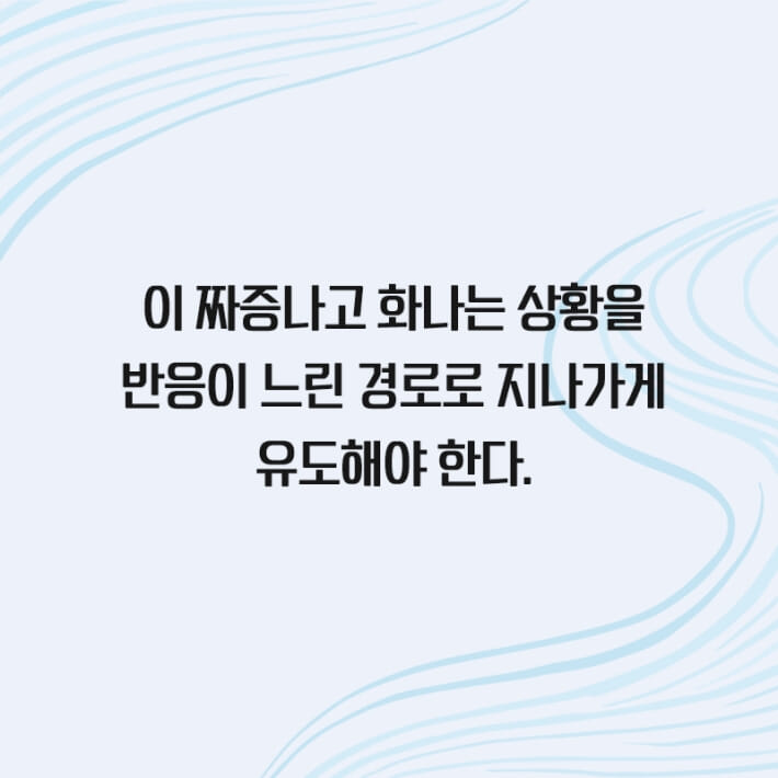 카드뉴스5