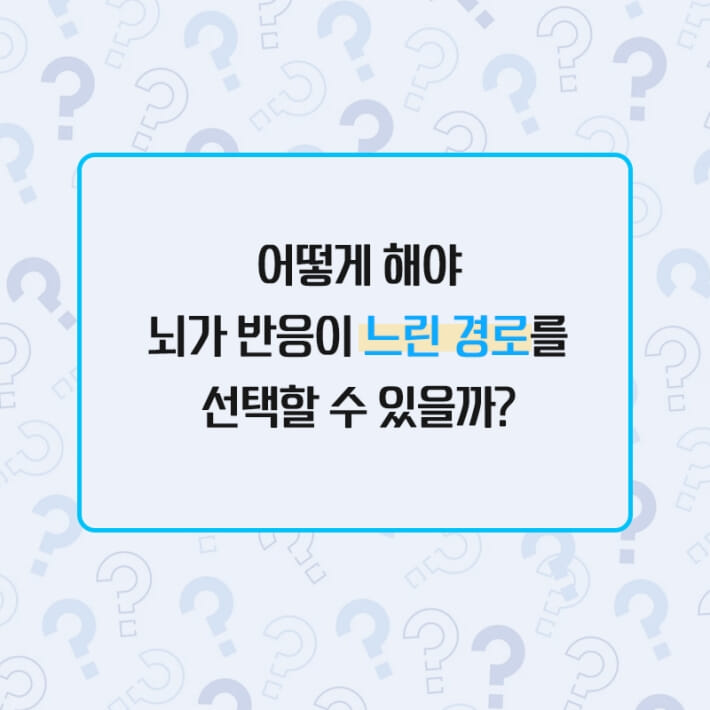카드뉴스6