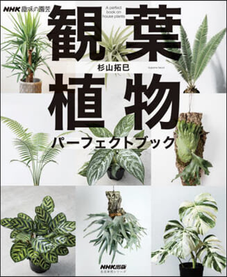 觀葉植物パ-フェクトブック