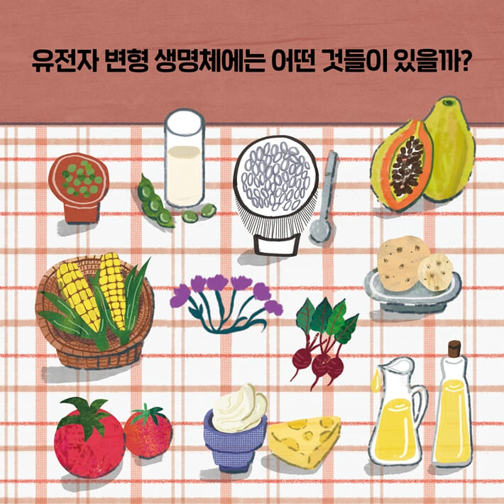 카드뉴스3