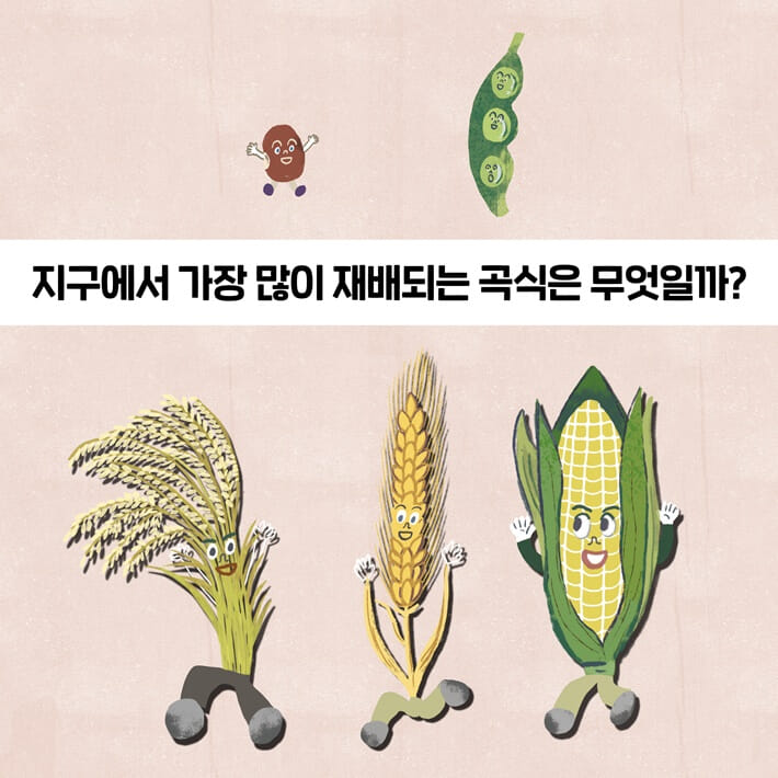 카드뉴스4