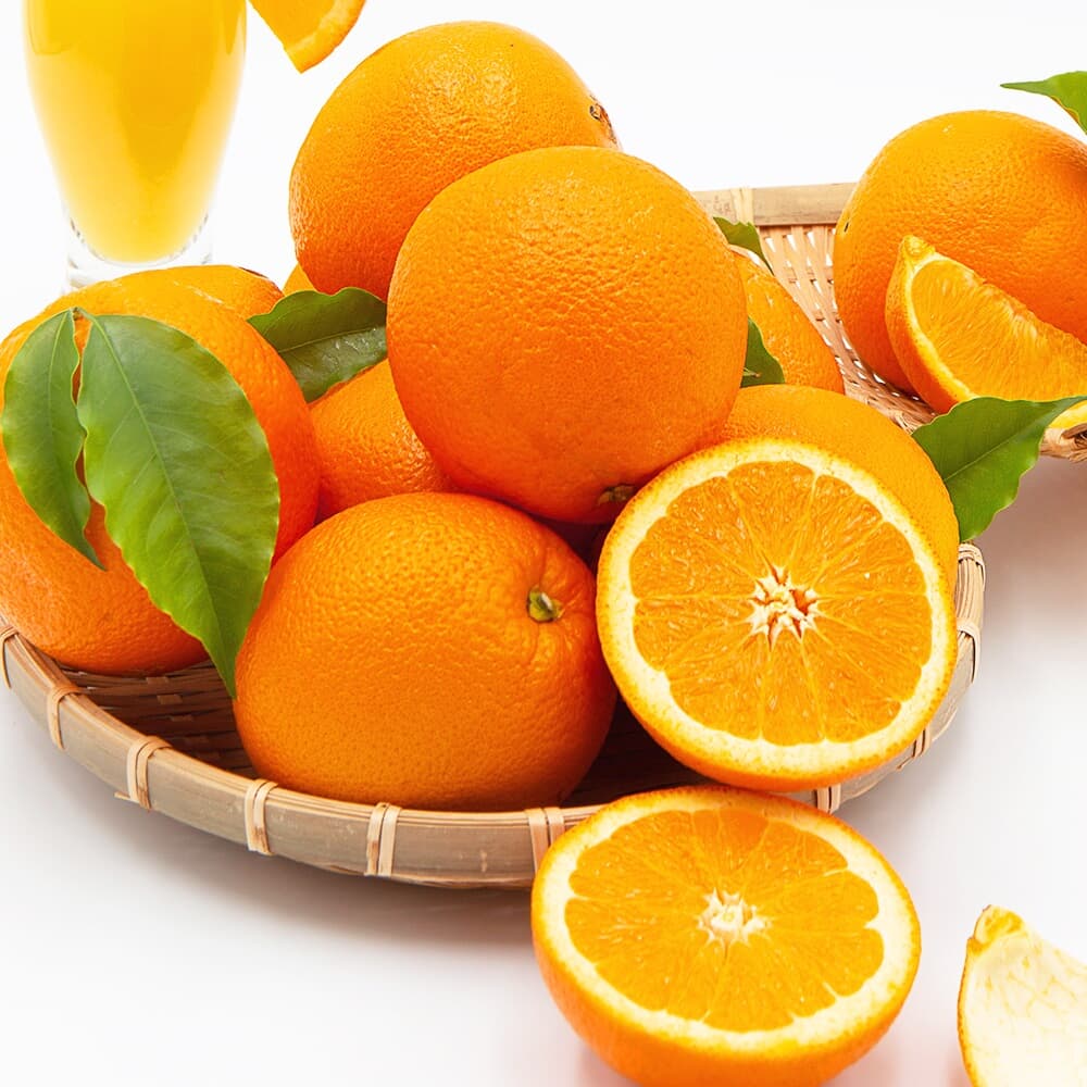 [자연예서] 고당도 오렌지 5kg(16과) 특대