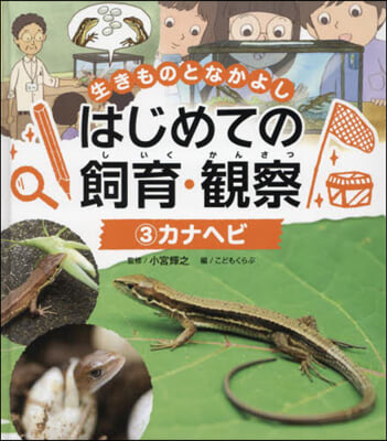 はじめての飼育.觀察 3