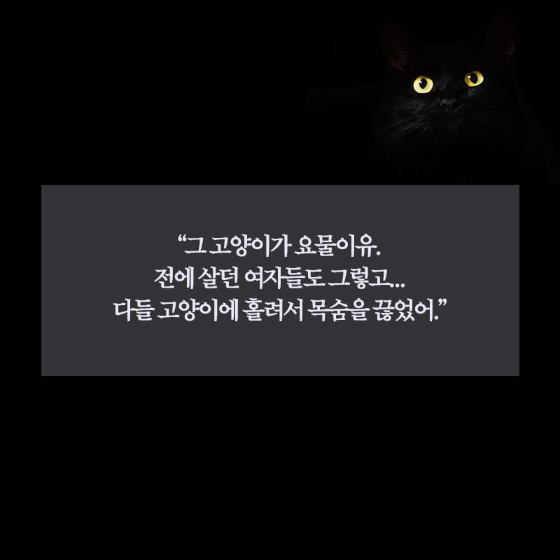 카드뉴스