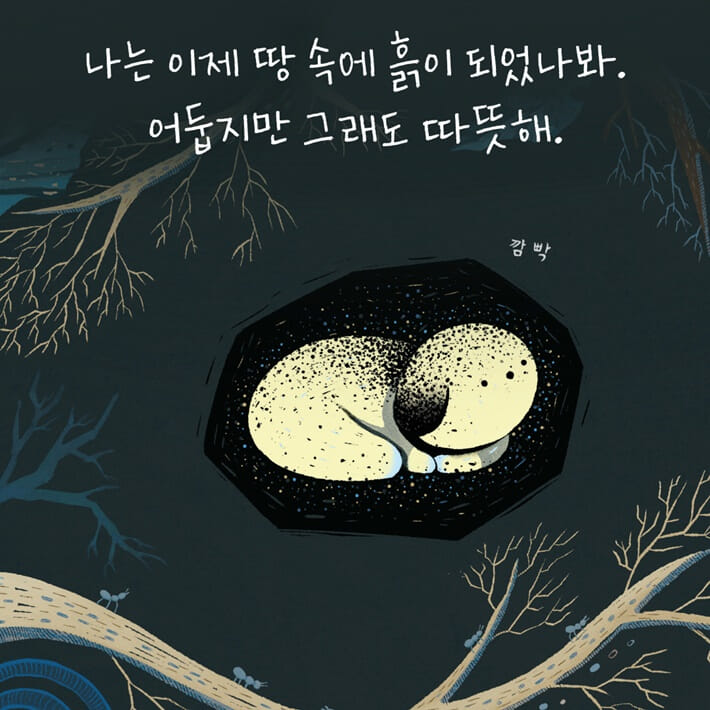 카드뉴스3