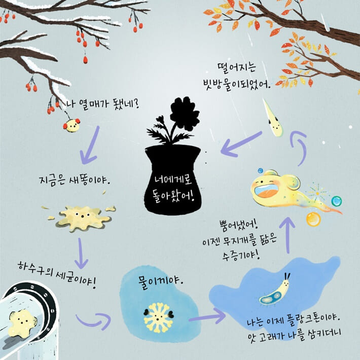 카드뉴스4