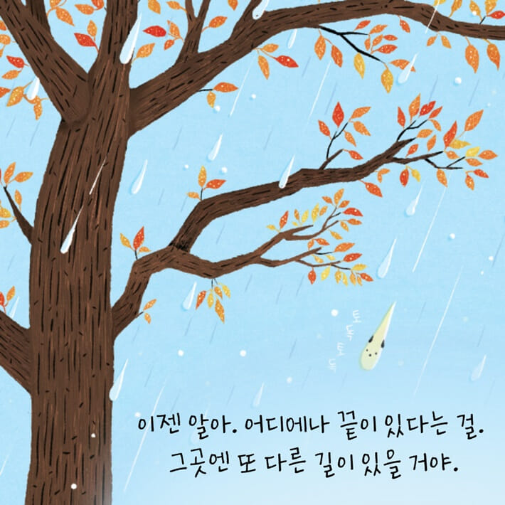카드뉴스5