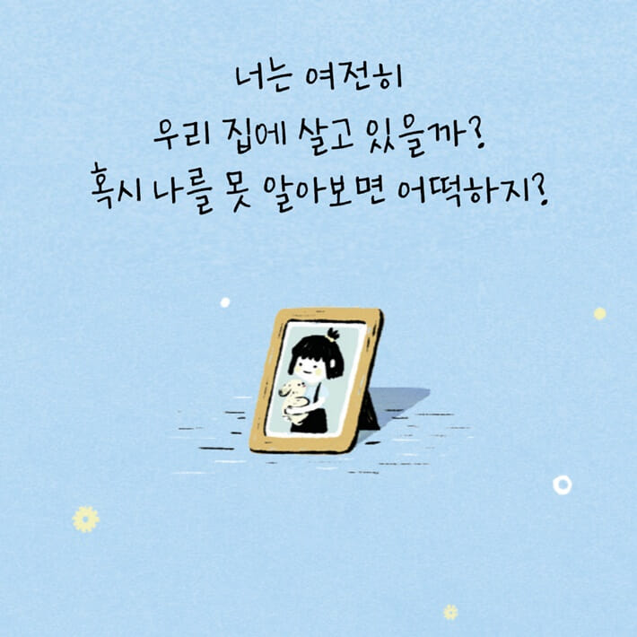 카드뉴스6