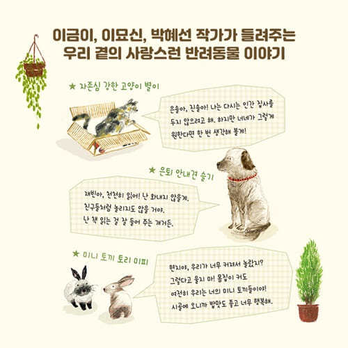 카드뉴스8