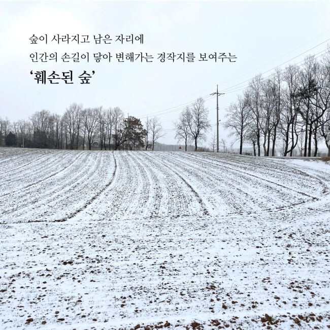 카드뉴스4