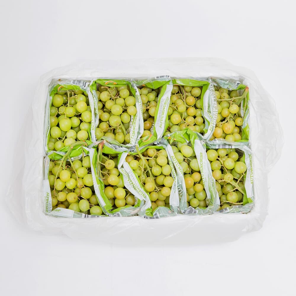 [자연예서] 칠레산 껍질째 먹는 청포도 7kg