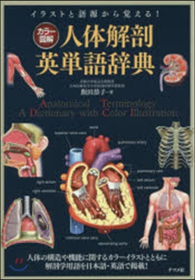 カラ-圖解 人體解剖英單語辭典