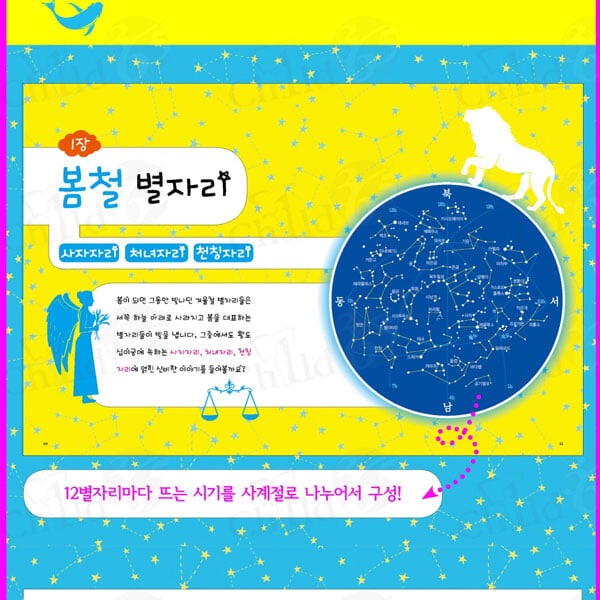 저학년 교과서 필독서 시리즈 10권 풀세트/상품권5천