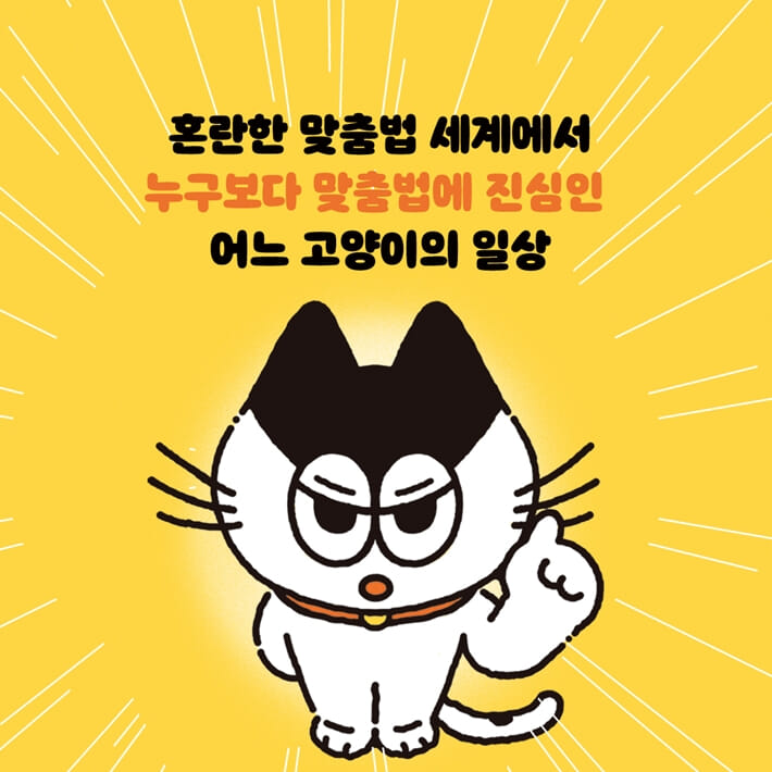 카드뉴스1