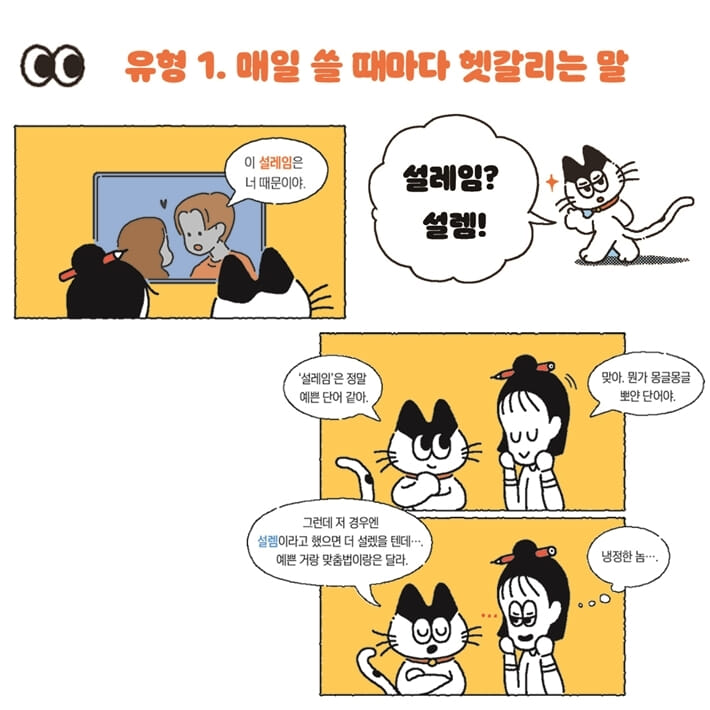 카드뉴스2
