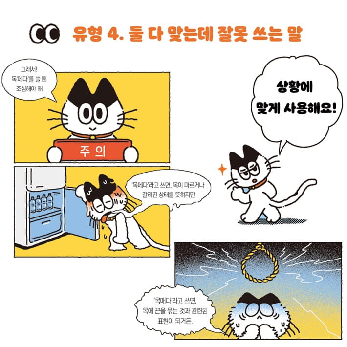 카드뉴스5
