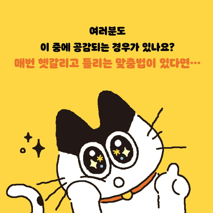 카드뉴스6