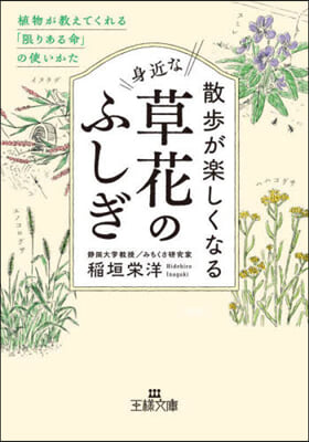 散步が樂しくなる身近な草花のふしぎ