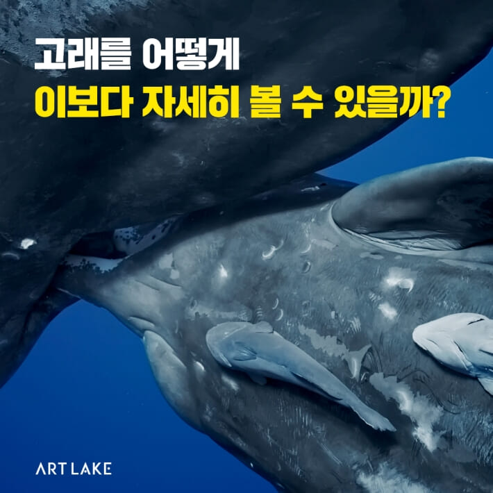 카드뉴스1