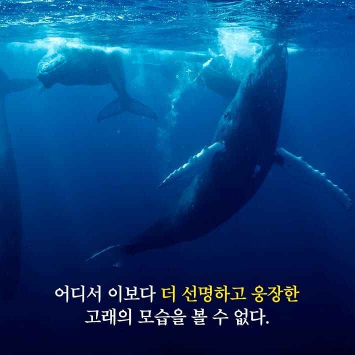 카드뉴스3