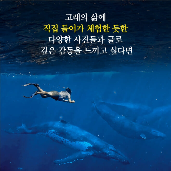 카드뉴스4