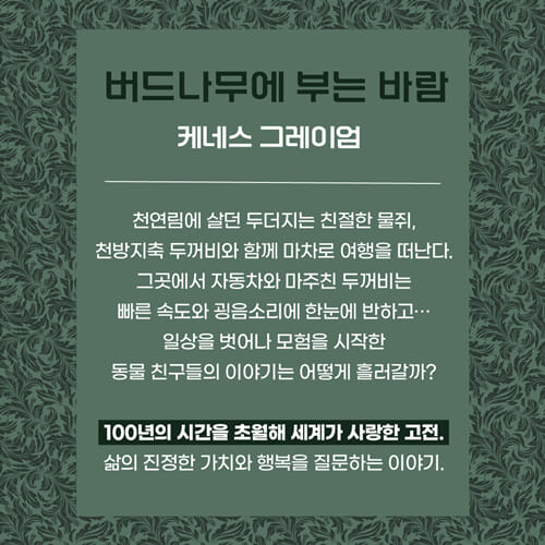 카드뉴스2