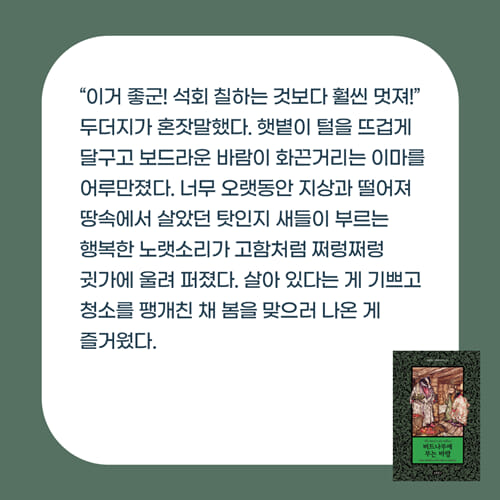 카드뉴스5