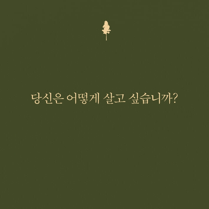 카드뉴스3