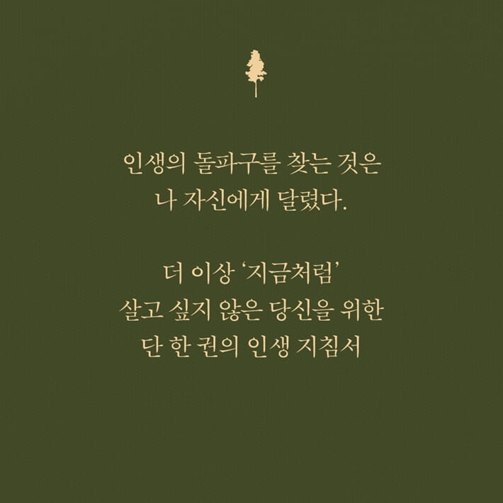 카드뉴스5