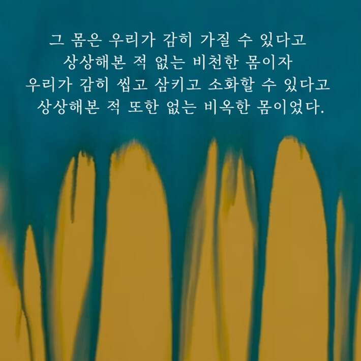 카드뉴스6
