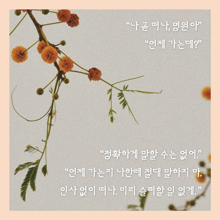 카드뉴스5