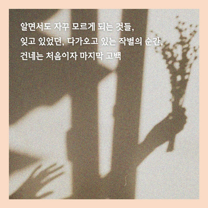 카드뉴스6