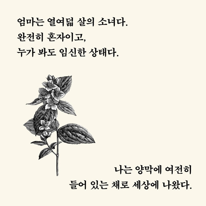 카드뉴스2