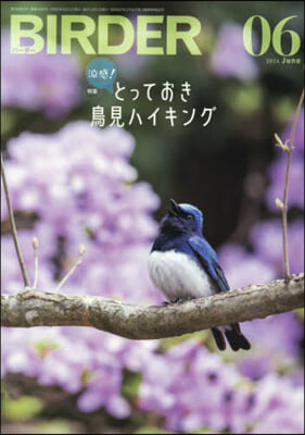 BIRDER 2024年6月號