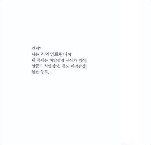 데굴데굴 판다