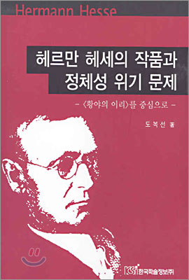 헤르만 헤세의 작품과 정체성 위기 문제