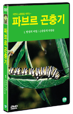 파브르 곤충기 1 : 탄생의 비밀 / 곤충들의 속임술