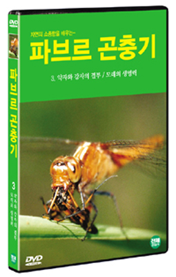 파브르 곤충기 3 : 약자와 강자의 결투 / 모래의 생명력