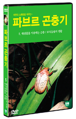 파브르 곤충기 5 : 배설물을 이용하는 곤충 / 포식동물의 생활
