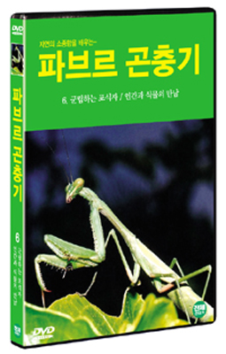 파브르 곤충기 6 : 군림하는 포식자 / 인간과 식물의 만남