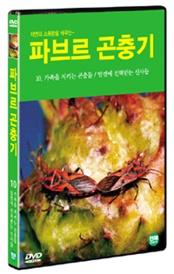 파브르 곤충기 10 :  가족을 지키는 곤충들 / 암컷에 선택받는 신사들