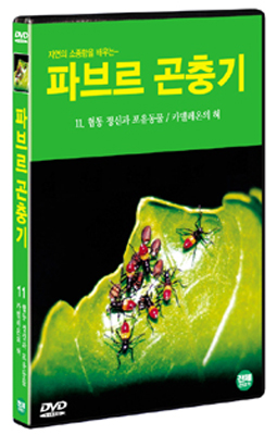 파브르 곤충기 11 :  협동 정신과 포유동물 / 카멜레온의 혀